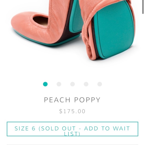Peach Poppy Tieks! Sz 6. Worn twice but with some scuffs. Sold out online - Picture 10 of 10